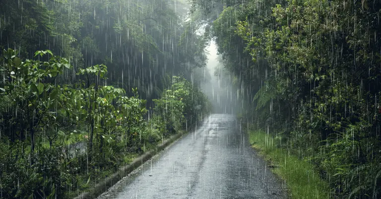 বৃষ্টির দৃশ্য